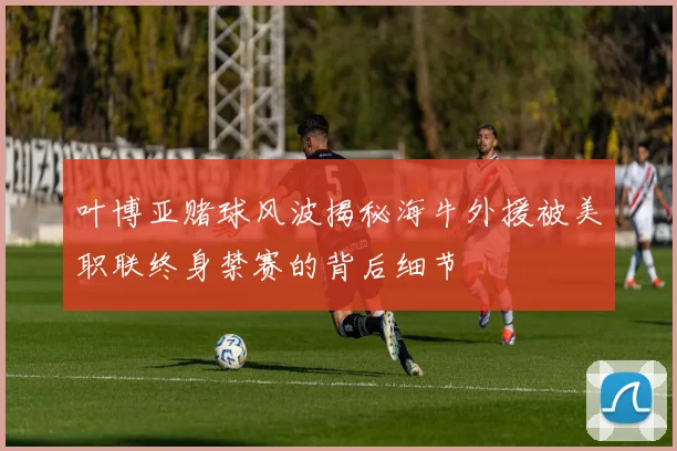 叶博亚赌球风波揭秘海牛外援被美职联终身禁赛的背后细节