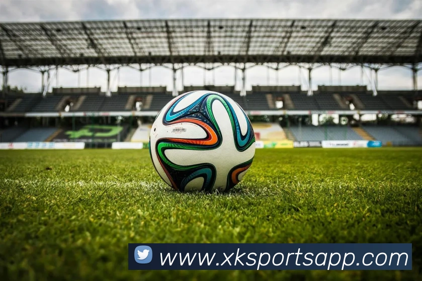 星空体育平台生态图