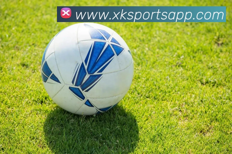 星空体育APP 封面图