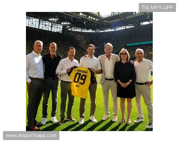 《德甲球队老板财富状况对比与俱乐部运营影响分析》 《德甲球队老板财富状况对比与俱乐部运营影响分析》