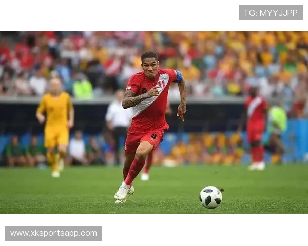 德甲球队“斯图亚特”球员资料分析及球队关系梳理