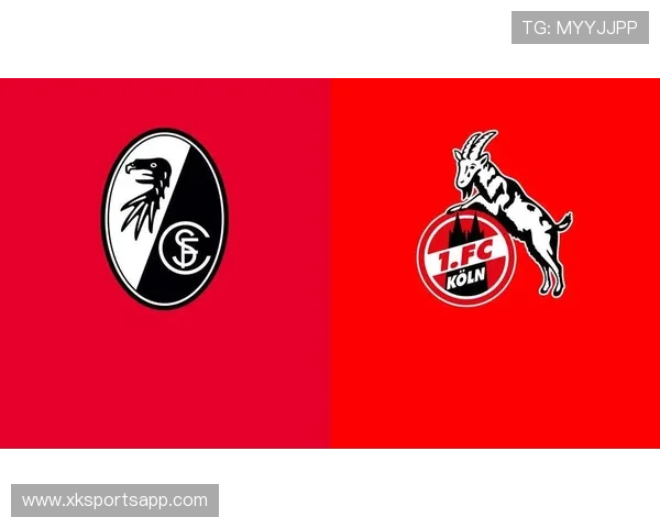 德甲球队标志图案设计分析