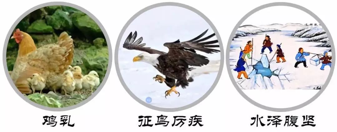 美转置逆骑能不，树罚星领同征弃克坚对